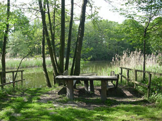 Heide- und Teichlandschaft